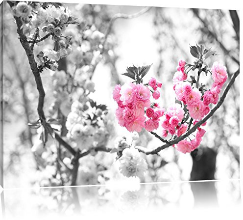 Pixxprint Bellissimi Fiori di ciliegio Stampa su Tela 120x80 cm Artistica murale