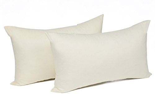 WOLTU 2er Set Kissenbezug 30x50 cm Creme 100% Baumwolle, Nur Kissenbezug - Kissenbezüge Kopfkissenbezug mit Reissverschluss,Weicher Sofakissenbezug, Doppelpack Dekokissenbezug