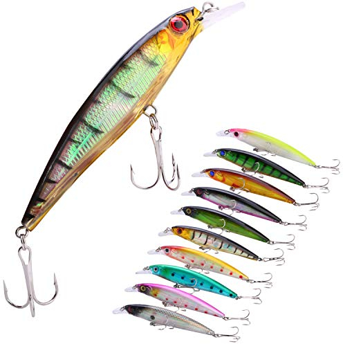 Sougayilang, set di esche da pesca Crankbait top water verosimili dure, ideali per trote, spigole e persici, Style-E 10PCS