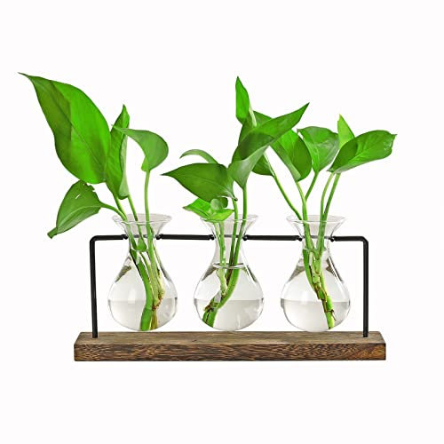 Mnaocz Desktop Plant Propagation Stations, Plant Terrarium Tabletop Propagation, Glass Bulb Terrarium for Hydroponics Plants Cuttings Home Garden Wedding Decor(#1)