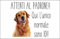 M-ITALY CARTELLO SEGNALETICO - Golden Retriever ATTENTI AL PADRONE - Adesivo Extra Resistente, Pannello in Forex, Pannello In Alluminio (20x31, Alluminio)