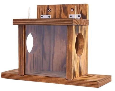 Eichhörnchen-Futterstation – Futterbox für Eichhörnchen, Futterstation für