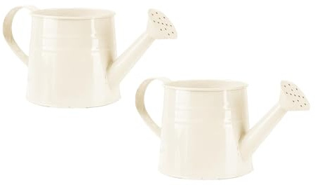 Gießkanne klein für den Zimmerpflanzen 1L, Blumengießkanne aus Metall, Giesskanne Pflanzengießkanne, kleine Gießkanne, Gartengießkanne Watering Can Blumentöpfe Kleine Vasen Gartenwerkzeug (2PC/Weiß)
