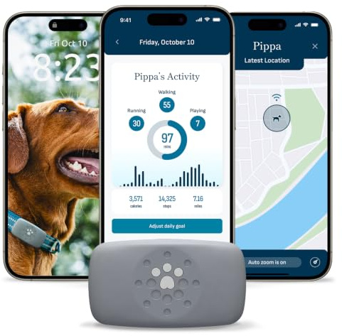Petivity Smart GPS and Activity Pet Tracker for Dogs Powered by Purina, Waterproof Real Time Tracking GPS Dog Collar, Downloadable App, Subscription Required
