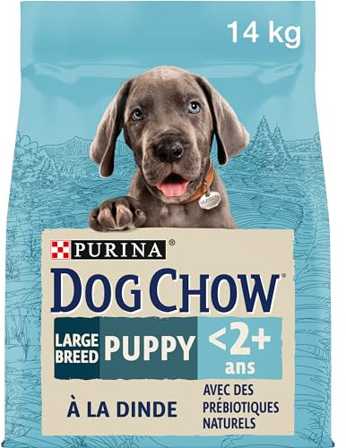Purina Dog Chow Pienso para Perro de raza Grande Cachorro, Junior, Bebé con Pavo, saco de 14kg