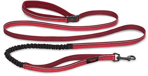 Laisse pour Sportifs HALTI - Laisse élastique Chien Mains-Libres avec Coutures Réfléchissantes & Amortisseur. Convient pour la Course & Marche avec Chiens de taille Moyenne et Grande (Taille L, Rouge)
