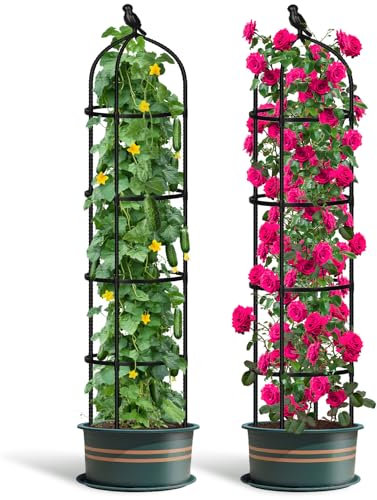 Garden Obelisks Trellis for Climbing Plants, 6FT Metal Garden Trellis, 2 Pack Plant Support for Climbing Rose, Tomato, Cucumber, Flowers, Grape, Pea, Outdoor Indoor 175cm Obelisks for Climbing Plants