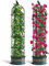 Garden Obelisks Trellis for Climbing Plants, 6FT Metal Garden Trellis, 2 Pack Plant Support for Climbing Rose, Tomato, Cucumber, Flowers, Grape, Pea, Outdoor Indoor 175cm Obelisks for Climbing Plants