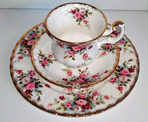 Rofu Collection Cup/Royal Albert/Gottage Garden - Pink Bone China Cup - Tea Set with Saucer and Cake Plate for Adults - Home
