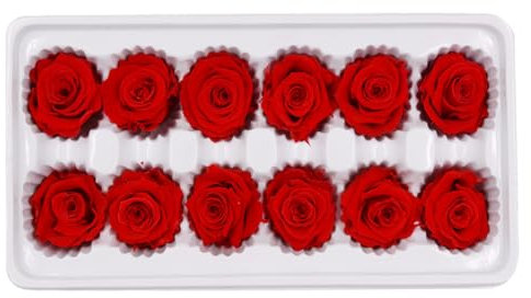 Garneck Bouquet Di Rose Immortali Quadrate Decorazione Di Rose Stabilizzate Per Feste Di Nozze