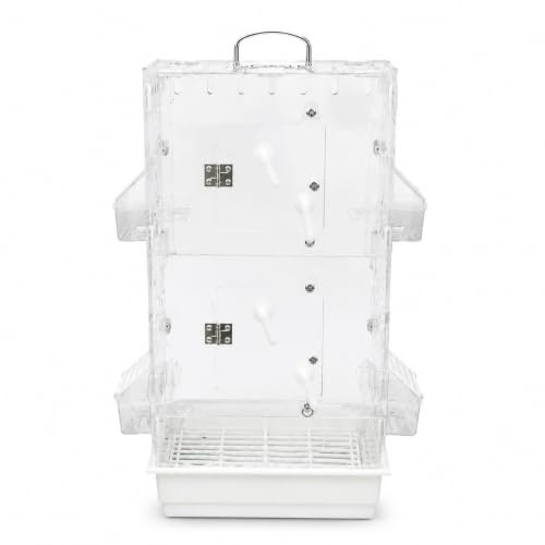 MotiveTech Cage pour Oiseaux Acrylique à Double Étage Volière Habitat Maisonnette Parois Transparentes sans Obstruction Nettoyage Facile Adaptée à la, Bleu, Bleu