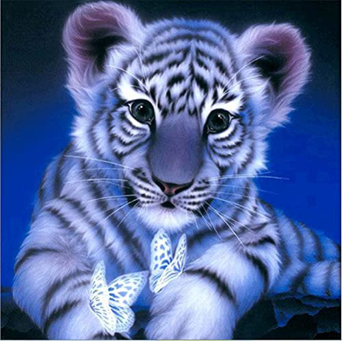 Meecaa Kreuzstich-Set, 11-fädig, geprägt, Tigertierjunges, Schmetterling, Stickset mit Zubehör, vorgedruckt (36 x 36 cm) (Tiger)