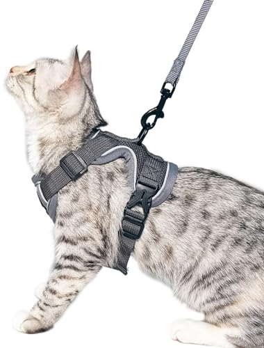 pangdi Katzengeschirr und Leine, ausbruchsicher, taktisch, extra groß, Kätzchengeschirr, emotionale Unterstützung, Katzenweste, Grau, XL