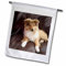 3dRose FL_4546_1 Garden Flag, 12 by 18-Inch, Rough Collie Puppy