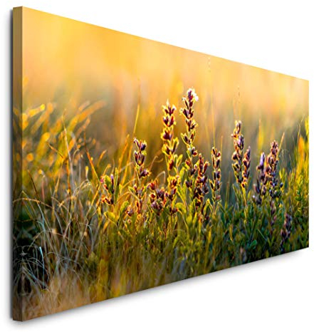 Paul Sinus Art GmbH Wilde Blumen und Gräser 120x 50cm Panorama Leinwand Bild XXL Format Wandbilder Wohnzimmer Wohnung Deko Kunstdrucke
