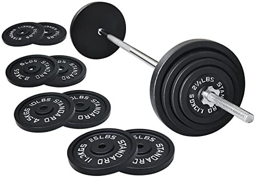 Fitvids Gusseisen Standard Hantelscheiben inkl. 1,5 m Standard-Hantel mit Sternverschlüssen, 43,1 kg Set (38,6 kg Scheiben + 4,5 kg Langhantel), mehrere Pakete, Style #1