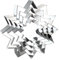 QAAQS Sonnenblumen-Ausstechformen-Set – 4 Stück, 12,7 cm, 10,2 cm, 7,6 cm, 5,1 cm, Sonnen-Ausstechformen, Formen – Edelstahl