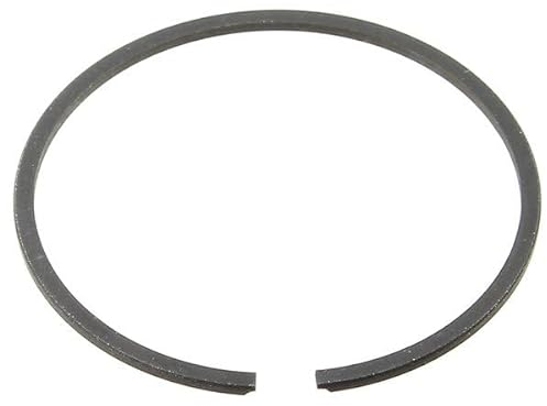 Alpina Segment (pro 1) 118550552/0 für Kettensäge