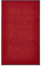 andiamo Premium-Fußmatte Wash & Clean - langlebige Schmutzfangmatte Hauseingang - als Fußmatte innen oder als Fußabtreter im überdachten Außenbereich - saugstarker Fußabstreifer 40 x 60 cm Rot