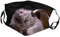 Lulupi Katze Mundschutz Multifunktionstuch 3D Druck Maske Waschbar Baumwolle Stoffmaske Alltagsmaske Katzenmotiv Tiermotiv Mund und Nasenschutz Face Halstuch Schals