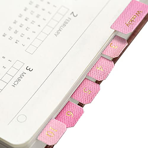 10 Blatt monatliche selbstklebende Index-Registerkarten bunte monatliche Trennzeichen-Registerkarten für Büro-Studie-Planer-Organisationen (Elegant)