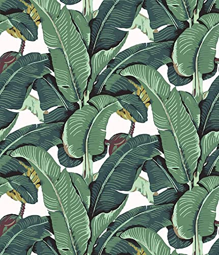 Meihodan Tropical Palm Leaf Peel and Stick Wallpaper Green Banana Leaves Self Adhesive Wall Paper Removable Contact Paper for Living Room 17.7in x 9.8ft