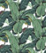 Meihodan Tropical Palm Leaf Peel and Stick Wallpaper Green Banana Leaves Self Adhesive Wall Paper Removable Contact Paper for Living Room 17.7in x 9.8ft