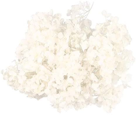 Amosfun 1paquet Pétales De Fleurs Séchées Naturelles De Pétales Hortensia Préservés pour Décorations Parfait pour Fêtes Les Mariages Et Art des Blanc