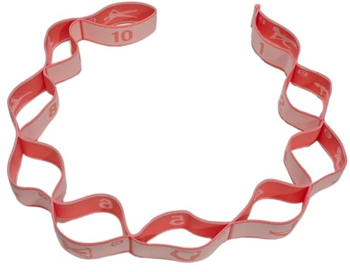 GIMIRO Bande élastique de fitness segmentée pour yoga, pilates, danse, rééducation, bande de tension (rose 10 boucles)