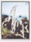 rahmengalerie24 Schattenfugenrahmen 70x100 cm alu für Leinwand Bilderrahmen Keilrahmen für Leinwände aus Holz MDF