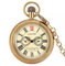 Taschenuhr Royal London 1856's Retro Mechanische Taschen- & Taschenuhren Retro Handaufzug Skeleton Herren Taschenuhr Kette