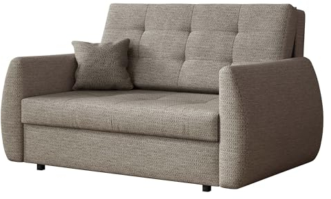Mirjan24 Sofa Viva Art II mit Schlaffunktion, 2 Sitzer Polstersofa mit Bettkasten inkl. Kissen, Schlafsofa, Bettsofa, Wohnlandschaft, Farbauswahl, Sofagarnitur (Aragon 20)