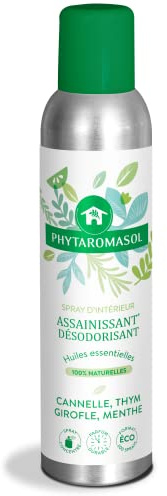Dietaroma – Philaromasol Zerstäuber, Raumduft, weich und süß, Zimt/Nelke, 250°ml