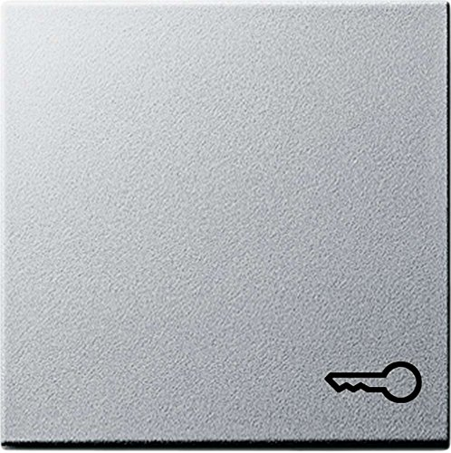 Gira 028726 Wippe Symbol Schlüssel System 55, alu