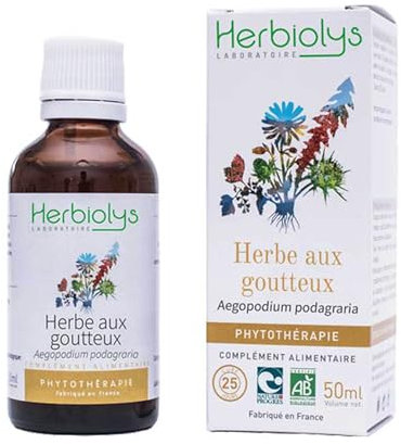 Herbiolys | Extrait De Plantes Fraîches Bio | Herbe aux goutteux (Aegopodium podagraria) | Articulation & Détox | Phytothérapie Bio | 50 ml