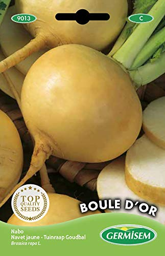 Germisem Boule D'Or Semi di Barbabietola 5 g