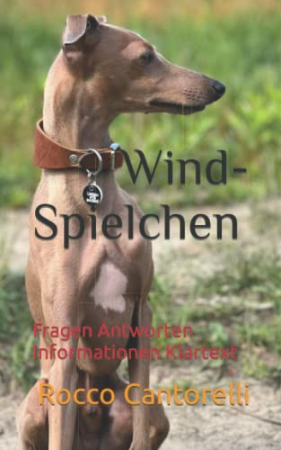 Wind-Spielchen: Fragen Antworten Informationen Klartext