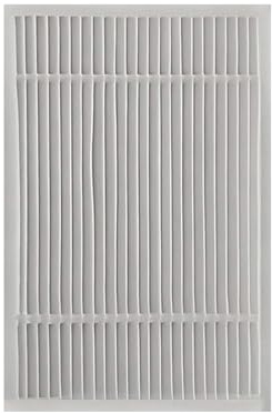 Hoover SH03 Filtro aspirapolvere originale HEPA antiodore HG2 – 1 pz | Ricambio ufficiale; trattiene polveri fini e allergeni; aria più pulita; lunga durata; facile installazione; mantiene prestaz