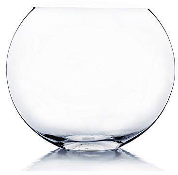 WGV Mond Vase, Länge 30,5 cm, Breite 11,4 cm, Höhe 25,4 cm, Klarglas Vase Blumenbehälter mit ovaler Öffnung, Übertopf Terrarium, Hochzeit Party Event, Home Office Decor, 1 Stück