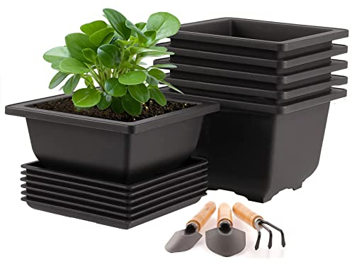 MissFox Lot de 6 Pot pour Bonsai avec Soucoupe, 17x17x12cm Pots de Fleurs en Plastique avec Outillage de Jardin, Pots à Bonsaï Carré avec Trou d'échappement pour Jardins Balcon Extérieur Intérieur