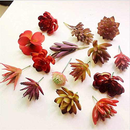 Le Piante per la casa Bonsai Lotus Succulente Falso Flowers Floral Craft Artificiali: N