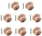 TERF® Traditional Unlacquered Pine Wooden Cupboard Cabinet Door Knob 50mm Drilled Wood Knob with Fixing for Chest Drawer Cupboard Kitchen Wardrobe Door Pull Handle Knobs - Pack of 8