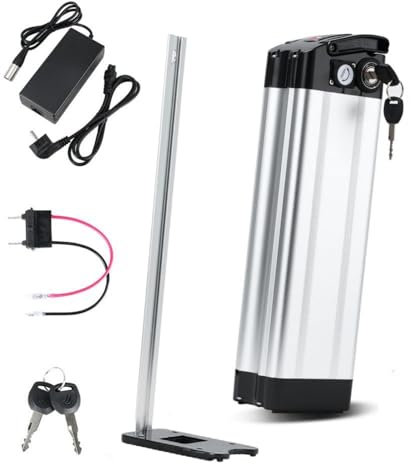 ZHIKAN E-Bike Pedelec Akku 36V/48V 15,6Ah/18Ah/21Ah, für MiFa Rex Prophete Aldi Bike/Phylion/XH370-10J/ZL1010-F,mit Ladegerät, geeignet für 250W/350W/500W/750W/1000W/1200W Motoren (48V 15.6Ah)