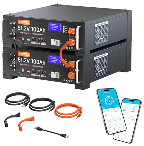 2Pack of 48V 100Ah LiFePO4 Lithium Batterie, 10,24KWh 48V Lithiumbatterie Serverschrank Solarbatterie, mit 100A Bluetooth BMS für Solaranlage Komplettset, Photovoltaikanlage,Wohnmobil, Energiespeicher