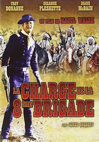 La charge de la 8ème brigade [FR Import]