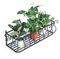 Vasi e Accessori per Piante Supporto per Fiori da Appendere alla ringhiera del Balcone Supporto per fioriera per parapetto per davanzale Fioriera in Ferro battuto Espositore di aneto Verde succulento