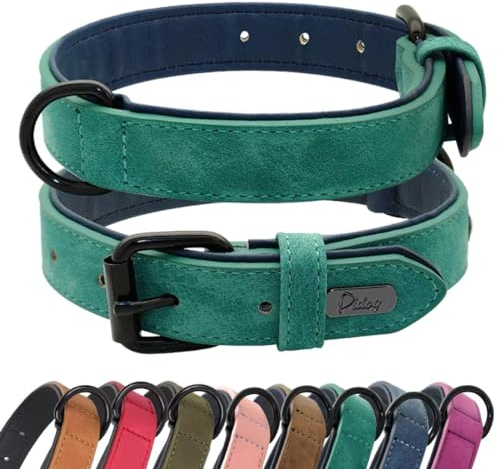 Didog Hundehalsband aus weichem, gepolstertem Leder, atmungsaktives, strapazierfähiges Hundehalsband aus Leder mit Verstellbarer, rostfreier Metallschnalle für mittelgroße und große Hunde, Grün, M
