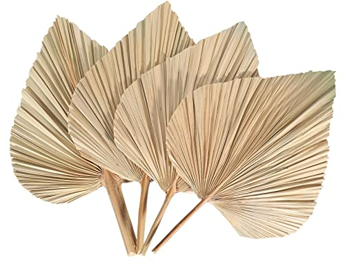 Peukerty Getrocknete Palmblätter und Palmenfächer - Böhmische Palmenme, Künstliche Pflanzen, Tropische Palmenblätter (4 Stück)