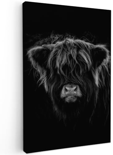 MuchoWow© Bild auf Leinwand 40x60 cm Schlafzimmer Bilder Wand Deko Wohnzimmer Modern Wanddeko Bilderwand Geschenk Schottisches Hochlandrind - Highland Cow - Kuh - Schwarz und Weiß - Tiere