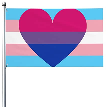 Transgender Trans und Bisexuelle Bi Pride Flagge Willkommensfeier Outdoor Outdoor Dekorationen Picks Home House Garden Yard Decor 91 x 152 cm große Flagge